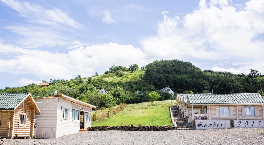 French Town Villa Beregszász Kültér fotó